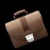 brown-jacob-bag